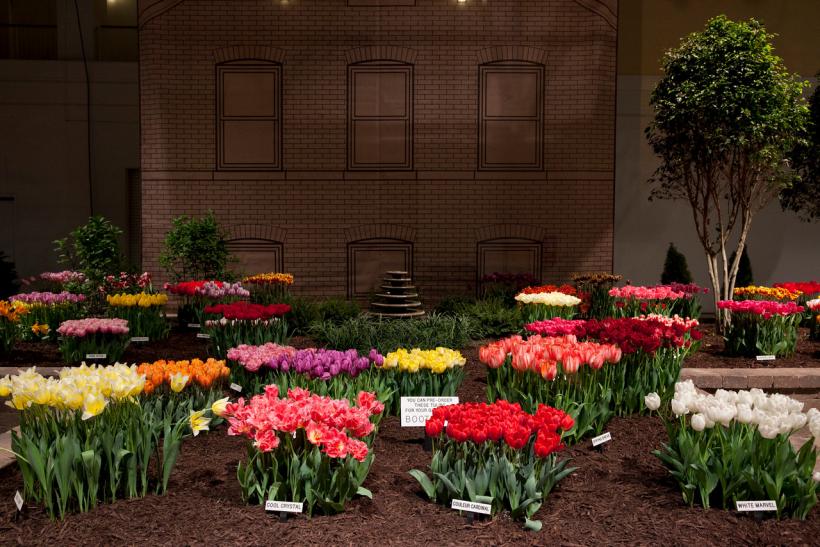 Chicago Flower & Garden Show The Magnificent Mile