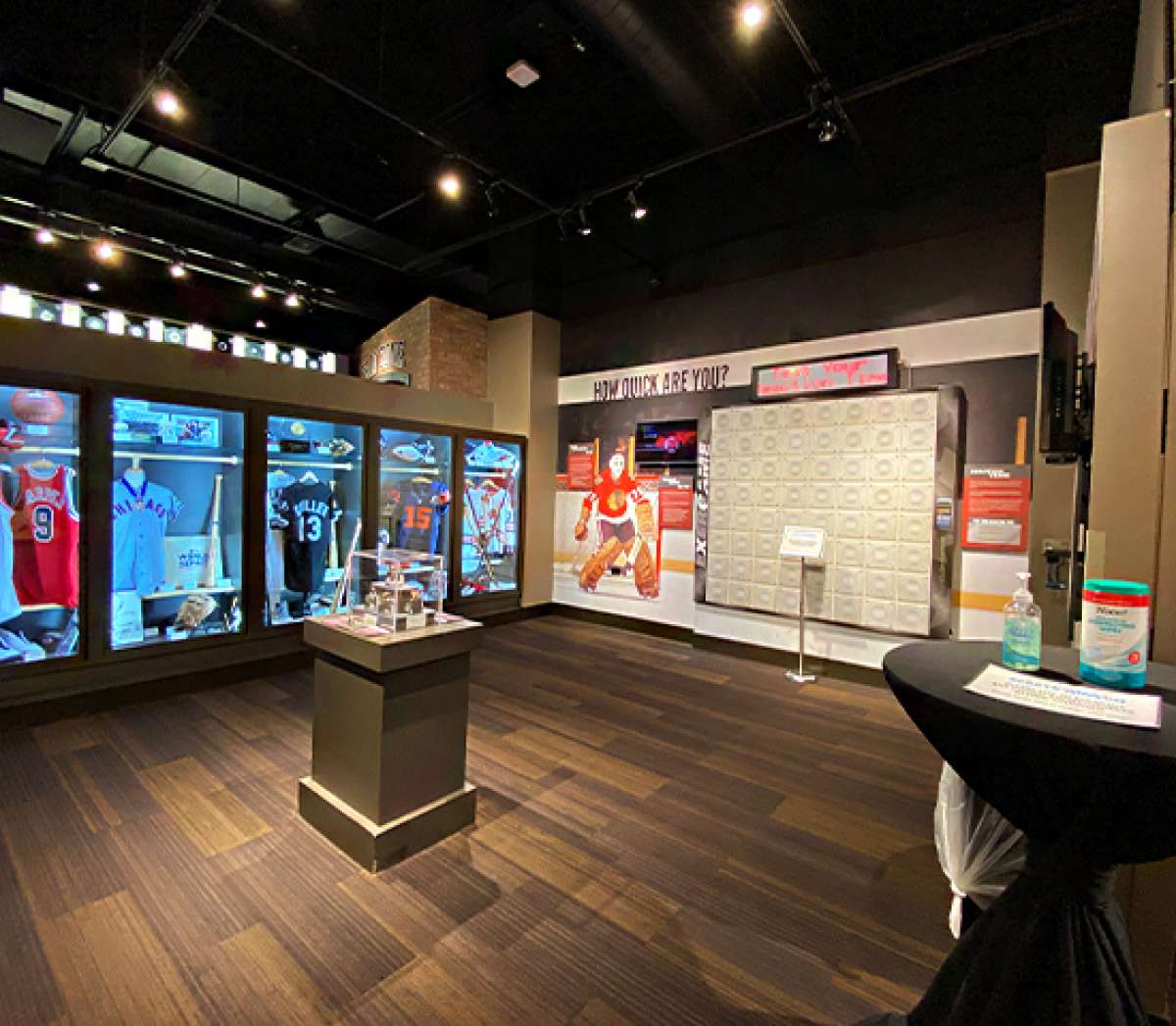 Private Playtime & Lunch at the Chicago Sports Museum | The Magnificent ...