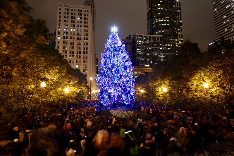 chicago christmas tree
