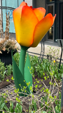tulip sculpture